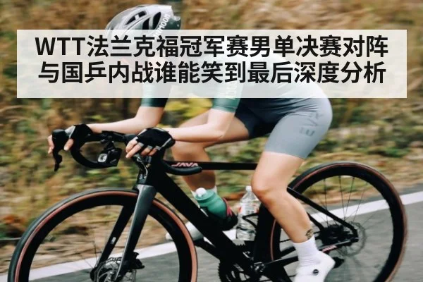 WTT法兰克福冠军赛男单决赛对阵与国乒内战谁能笑到最后深度分析